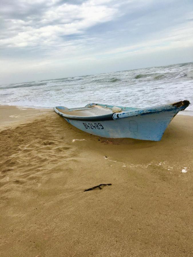 דירות Sérignan Beach, Wine, Dining, Sports, Summer, Winter מראה חיצוני תמונה