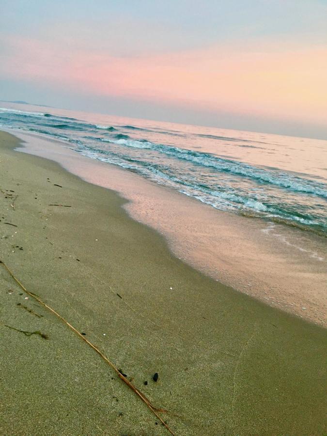 דירות Sérignan Beach, Wine, Dining, Sports, Summer, Winter מראה חיצוני תמונה