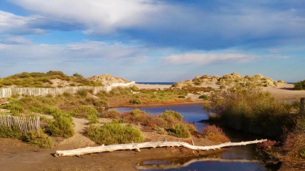 דירות Sérignan Beach, Wine, Dining, Sports, Summer, Winter מראה חיצוני תמונה