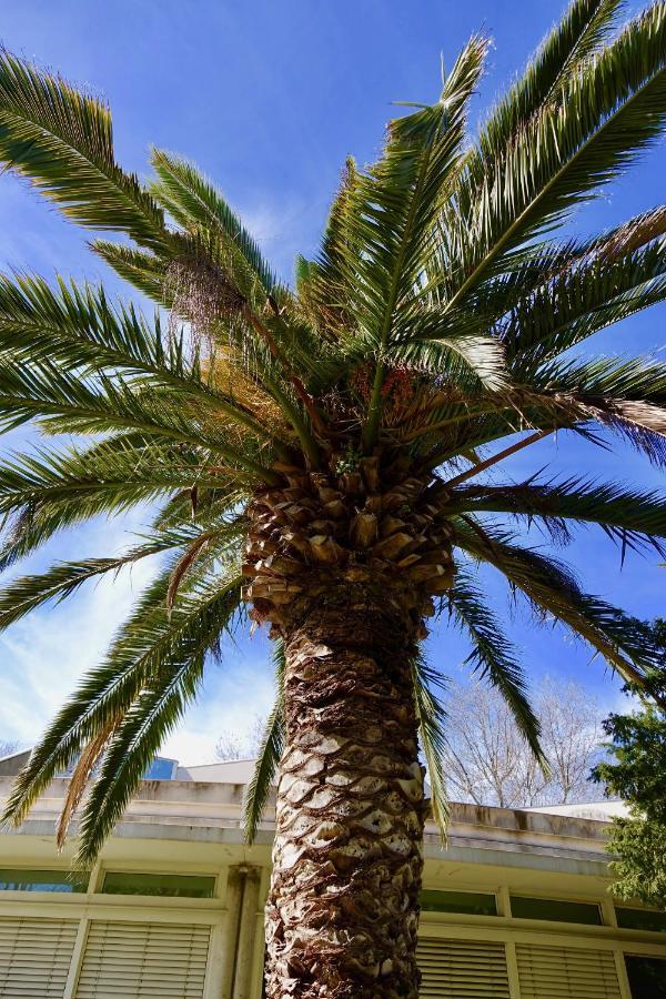דירות Sérignan Beach, Wine, Dining, Sports, Summer, Winter מראה חיצוני תמונה